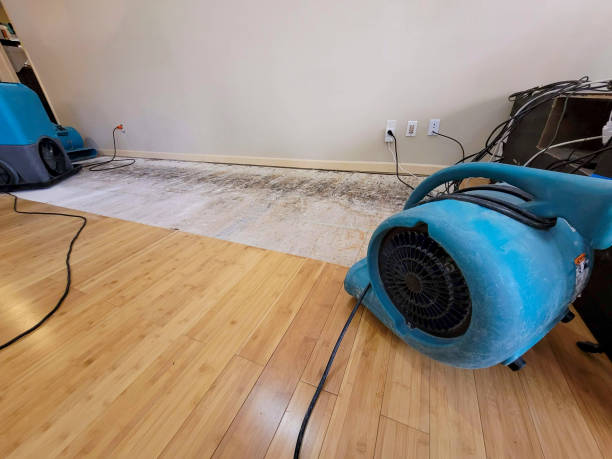 Professional Burst Pipe Water Damage technician working in Effingham, SC
